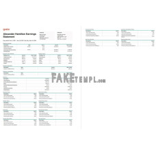 Mraz and Sons fake earnings statement Word and PDF template