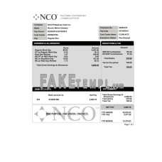 NCO fake pay stub Word and PDF template