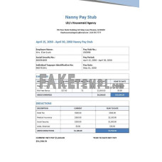 Nanny fake paystub Word and PDF template