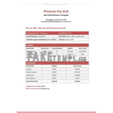 New World Doctor’s Hospital Physician fake pay stub Word and PDF template