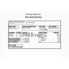 ORLANDO HUB REAL ESTATE inc fake earnings statement Word and PDF template