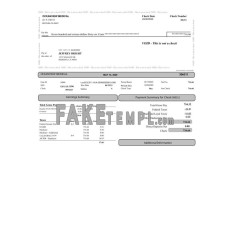 Oceanview medical fake pay stub Word and PDF template