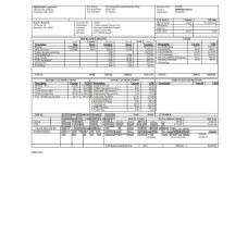 OhioHealth Corporation fake paystub Word and PDF template