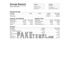 Ontop company fake earninngs statement Word and PDF template