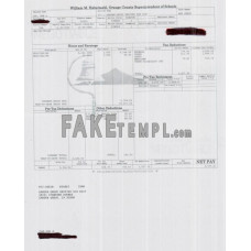 ORANGE COUNTY SUPERINTENDENT OF SCHOOLS fake pay stub Word and PDF template