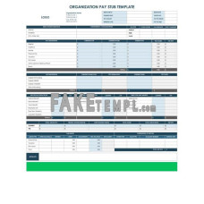 Organization fake pay stub Word and PDF template