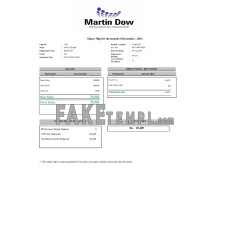 PAKISTAN MARTIN Dow fake paystlip Word and PDF template