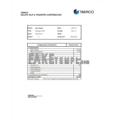 PAKISTAN TMIRCO company fake earning statement Word and PDF template