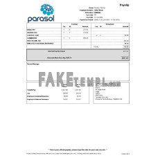 PARASOL Limited fake paystub Word and PDF template