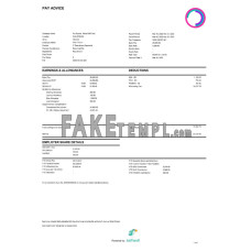 Philippines Pro Source Global BPO Inc. fake paystub Word and PDF template