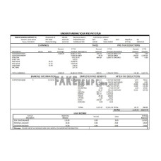 Pasco school district fake pay stub Word and PDF template