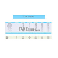 Pay summary report fake pay stub Word and PDF template