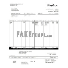 Paycor fake paystub Word and PDF template