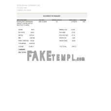 Recreational equipment LLC fake pay stub Word and PDF template