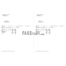 Rejoice The Lord Church fake pay stub Word and PDF template