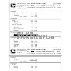 Richland County Finance Department fake paystub Word and PDF template