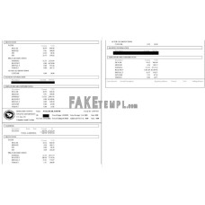 Richland County fake pay stub Word and PDF template