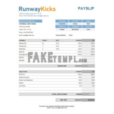 Runway Kicks company fake payslip Excel and PDF template