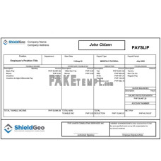 SHIELDGEO fake payslip Word and PDF template