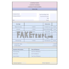 Salary fake pay stub Word and PDF template, version 2