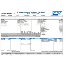 Sap Labs fake payslip Word and PDF template