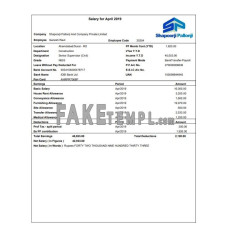 Shapoorji Pallonji employee fake pay stub Word and PDF template