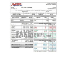 South Dakota fake payroll e-stub Word and PDF template