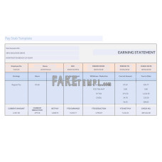 Stub Samples INC fake earnings statement Word and PDF template