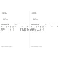 TCG Construction Inc. Employee fake pay stub Word and PDF template, 7 pages