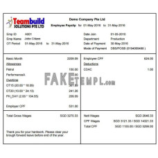 TEAMBUILD solutions Ptr Ltd fake payslip Word and PDF template