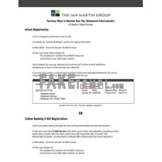 The Ian Martin Group fake pay stub Word and PDF template