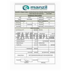 UAE MANZIL Healthcare Services fake salary slip Word and PDF template