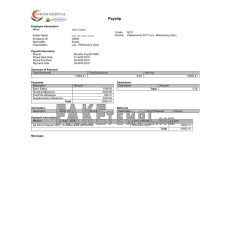 UAE Tawam Hospital fake payslip Word and PDF template