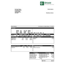 UNITED KINGDOM SHIELD contract services fake payslip Word and PDF template