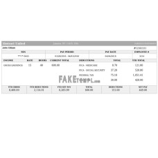 USA ABSTRACT united fake payslip Word and PDF template