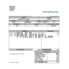 USA ADVANTANGE resourcing fake pay stub Word and PDF template