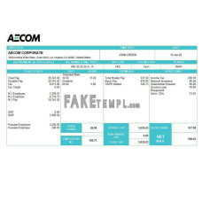 USA AECOM fake construction company Word and PDF template