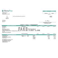 USA Accupay Demo Inc. fake payroll company Word and PDF template