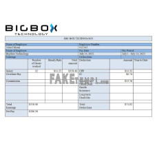 USA Big Box fake technologies company Word and PDF template