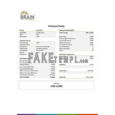 USA Brain fake technologies company Word and PDF template