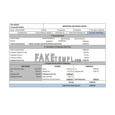 USA Brookson solutions limited fake payslip Word and PDF template