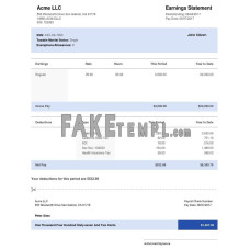 USA CALIFORNIA ACME LLC fake earning statement Word and PDF template