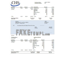 USA CHS Inc. fake agricultural company Word and PDF template