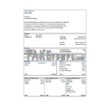 USA Cal State San Marcos fake payroll services Word and PDF template