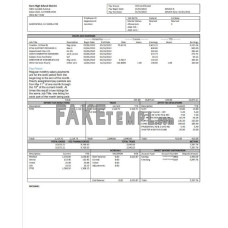 USA California Kern highschool District fake earnings statement Word and PDF template