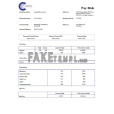 USA Capital Economics fake economic company Word and PDF template