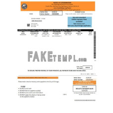 USA Chicago Notice of Determination fake pay stub Word and PDF template