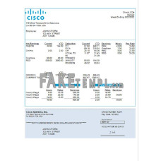 USA Cisco Systems, Inc. fake hardware company Word and PDF template