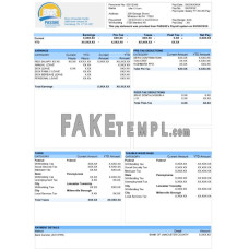 USA DIXON University center fake pay stub Word and PDF template