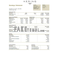 USA Kering luxury goods company fake Word and PDF template